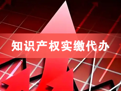 汝州知识产权实缴资本代办